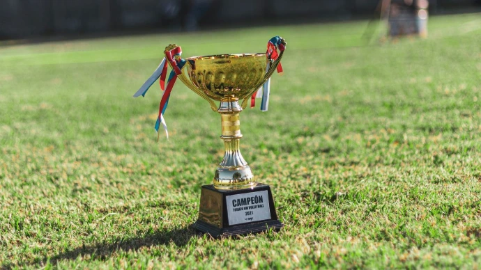 a trophy sitting on top of a lush green field